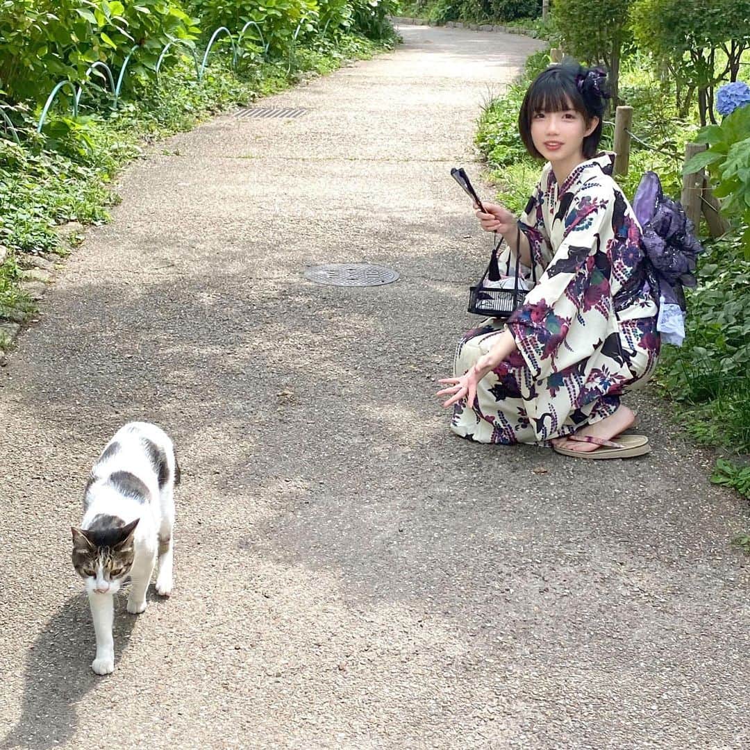 茶叶小果さんのインスタグラム写真 - (茶叶小果Instagram)「紫陽花✧可愛い🎐」6月9日 22時09分 - chayexiaoguo