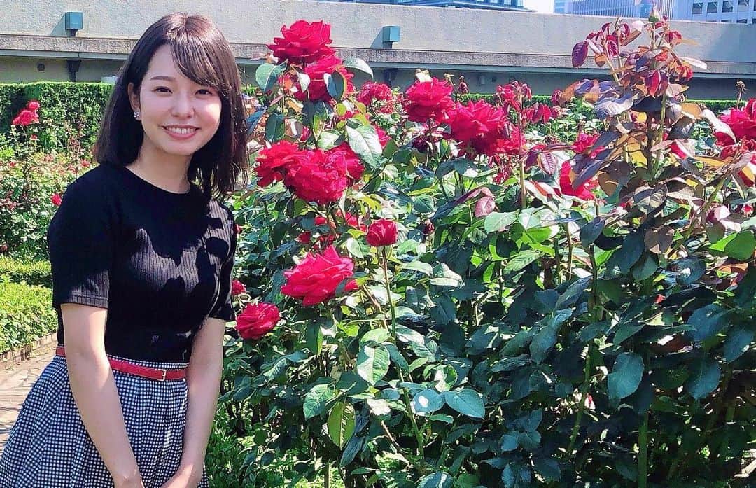 濱村春香のインスタグラム：「.﻿ なんだか今週はフォロワーさんが少し増えたみたいで 嬉しいです✌︎﻿ いつもありがとうございます☺︎﻿ ﻿ #ホリプロ #horipro #フリーアナウンサー #キャスター #リポーター」