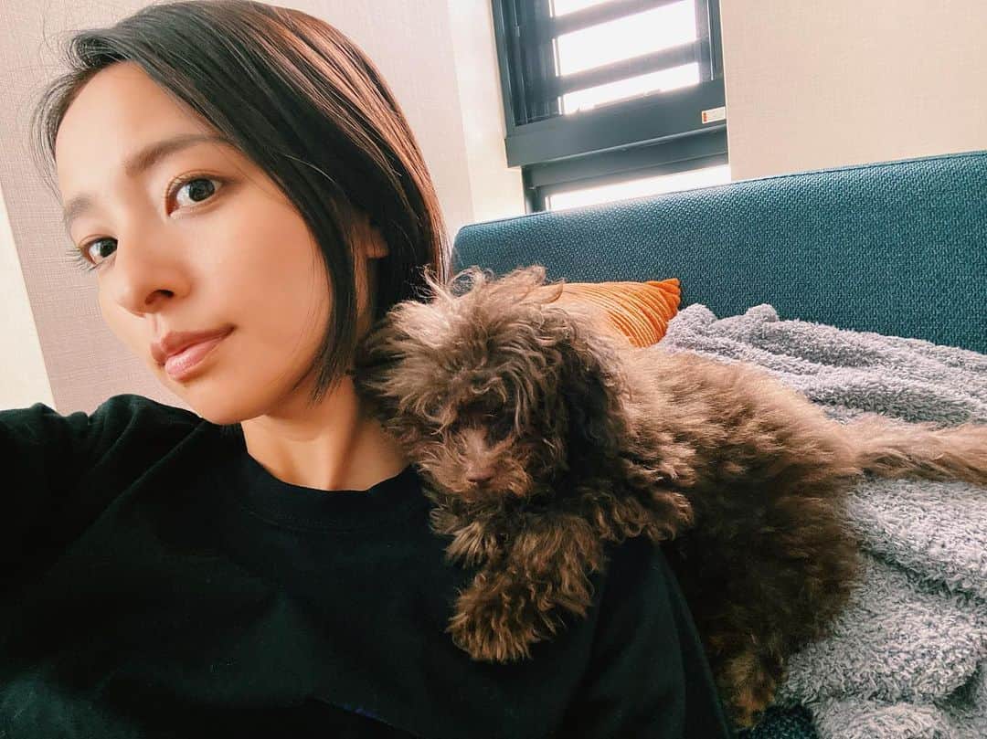 水崎綾女さんのインスタグラム写真 - (水崎綾女Instagram)「台本読んでたらモサモサくんが肩に顔置きながら眠り出した。 ふぅ…かわいすぎる、無理。すき◡̈♥︎ よーし、癒されたのでお仕事頑張りましょう。 #dog #犬 #zzz #寝る #おやすみ」6月9日 23時35分 - misakiayame
