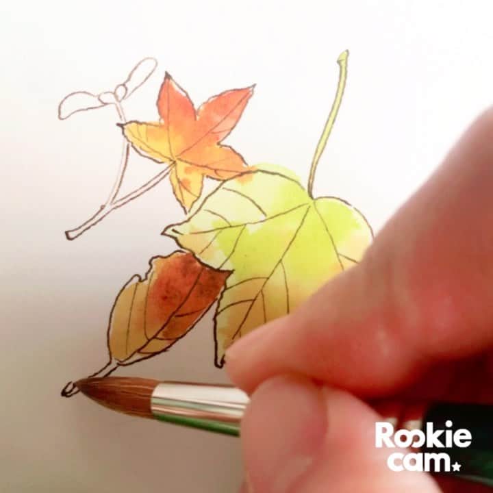 イラストレーター山崎牧子のインスタグラム：「Autumn leaves  今日はもう一つ動画 あげさせてくださいね🍂 #watercolor#watercolorpainting#colors#artwork#illustrator#illustration#水彩画#イラスト#イラストレーター#いなとめまきこ」