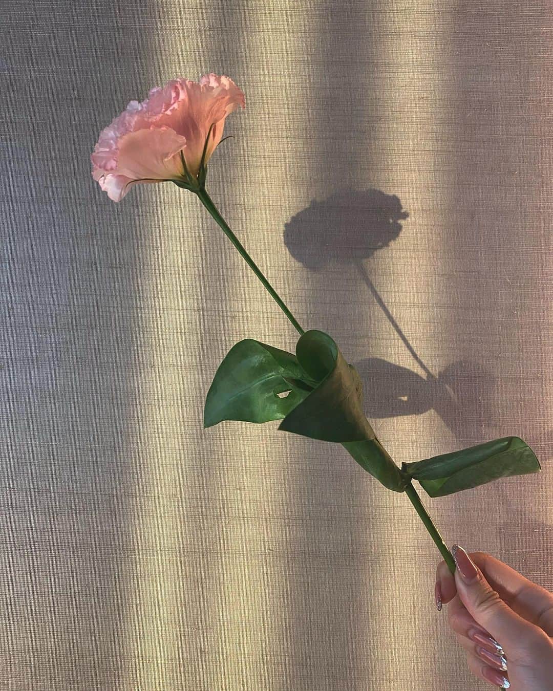 のインスタグラム：「❤︎"」
