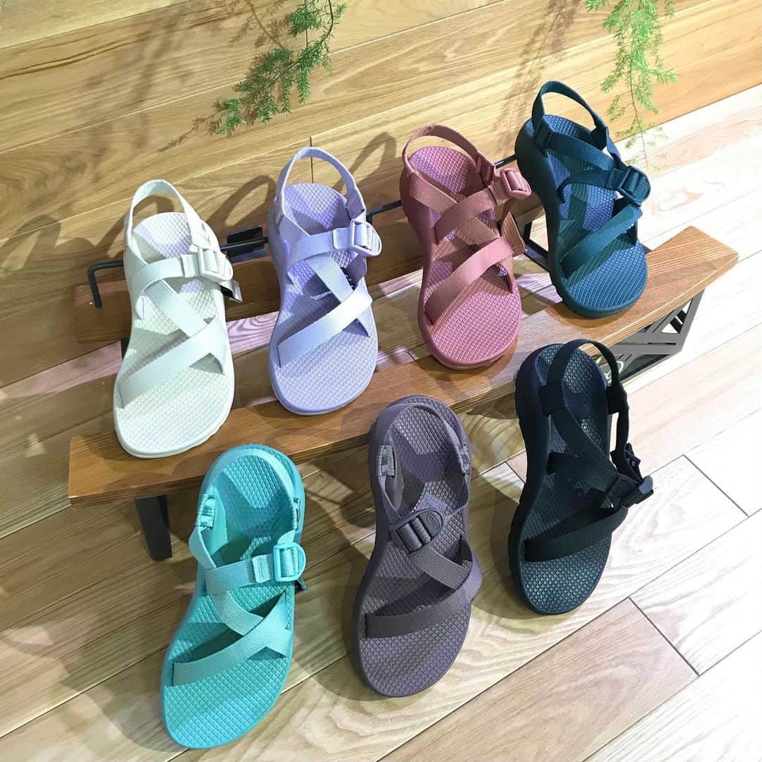 のインスタグラム：「【Chaco 脱ぎ履きしやすいサンダル♪.°】  今年もChacoのシンプルで可愛いサンダルが入荷しています♪ 一日履いていても疲れにくい ◎APMA【全米足裏病学会】からの保証されてる程♪  足の自然なアーチに基づいた曲線は、それぞれの骨をサポートするだけでなく 正しい姿勢を保せてくれるそうです♪  身体にも優しく、お洒落感ありで言う事なしのサンダルです 🙌 どんな足の曲線にもフィットするChacoのサンダルをGETして夏のアクティビティに備えませんか？  ストラップはひと繋ぎで作られているので つま先から足の甲へと繋がる紐の長さを自由に調節することが可能です♪.°  シンプルなデザインで服装を選ばず、 着脱も簡単なので 夏のアクティビティでも大活躍！  カラーバリエーションも充実しています！❇︎.°  【SPEC/製品仕様】 ■ブランド名：Chaco ■商品型番：ー ■カラー：ペッパーコーン【JCH107628】,アラゴン【JCH107678】,シーパイン【JCH107680】,アンゴラ【JCH107608】,ブラック【J105414】,クリームドミント【JCH107618】,ラベンダーフォレスト【JCH107624】 ■商品名：ChacoZ/1クラシック【ウィメンズ】 ■素材：ウェビングストラップ／ポリエステル フットベッド／ポリウレタン アウトソール／CHACOGRIP ■サイズ：6(23cm),7(24cm),8(25cm)  ■税込価格¥10,450  ■THE GATE 福井県福井市定正町1216 TEL 0776-97-8848 * 営業時間：11:00〜19:00(水曜定休) ＝＝＝＝  ■THE GATE  福井県福井市定正町1216 TEL 0776-97-8848 * 営業時間：11:00~19:00(水曜定休） ＝＝＝＝ * #THEGATE #THEGATE_CAMP  #アウトドア #アウトドアショップ #アウトドアファッション #キャンプ #キャンプギア #ハイキング #福井  #ジャケット #パタゴニア #Patagonia #アウトドア女子 #アウトドア男子 #アウトドア好きな人と繋がりたい  #キャンプ好きな人と繋がりたい  #チャコ #サンダル」