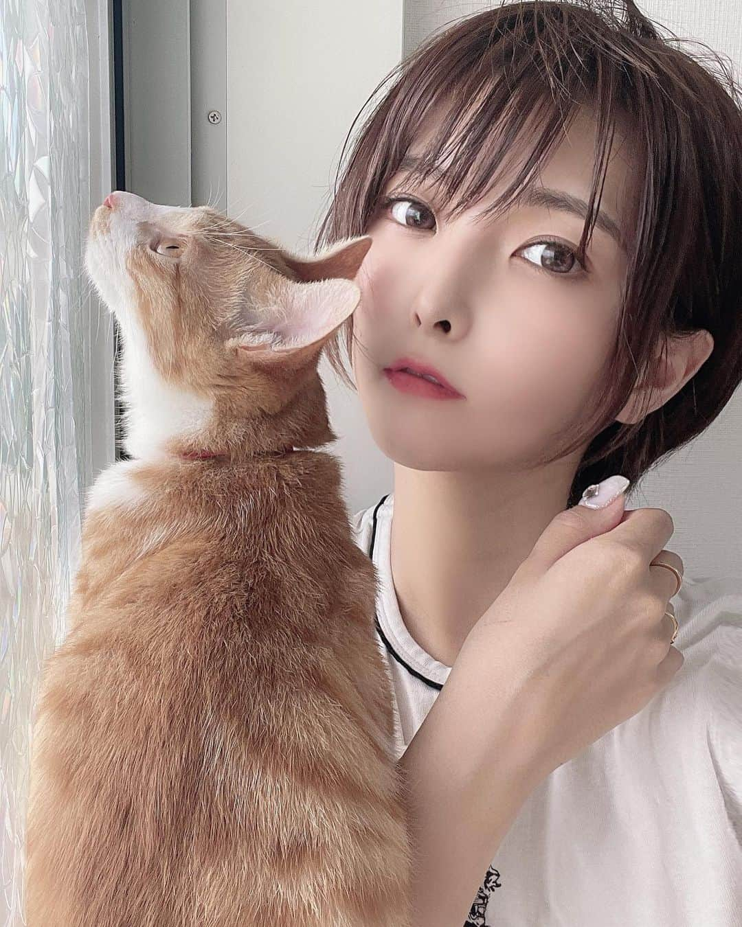 ききまるさんのインスタグラム写真 - (ききまるInstagram)「うちの姫がおてんば過ぎる . .  .  🐈🐈🐈🐈🐈🐈🐈 . 2021.01.01、縁起のいい日に生まれた女の子です🚺❤️ 毎日投稿してるので是非フォローしていただいて成長を見守っていただければと思います🤲🏻 . @chachagram_01  . 🐈🐈🐈🐈🐈🐈🐈 . #茶トラ女子部 #子猫のいる生活　#子猫里親 #子猫のいる生活 #子猫成長記録 #子猫部 #子猫育て #保護猫 #保護猫と暮らす #保護猫を家族に #保護猫出身 #保護猫から家族 #茶トラ #茶トラ猫 #茶トラ白 #茶トラ女子 #茶トラ　#にゃんこ　#にゃんこ部 #にゃんこlove #にゃんこすたぐらむ　#猫の日 #猫のいる暮らし #猫好きさんと繋がりたい #kitty #kittys #cats #catlover」6月10日 22時00分 - kikigram_97