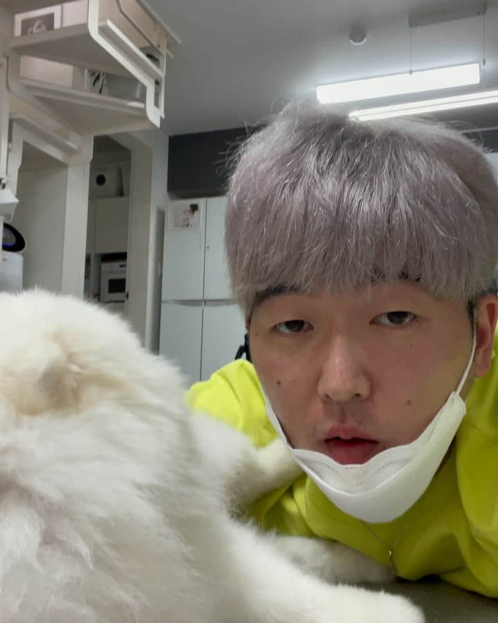 Diem、のインスタグラム：「유튜브 루퐁이네 촬영중🍀  #루퐁이네 #유튜브 #포메 #견스타그램 #개스타그램」