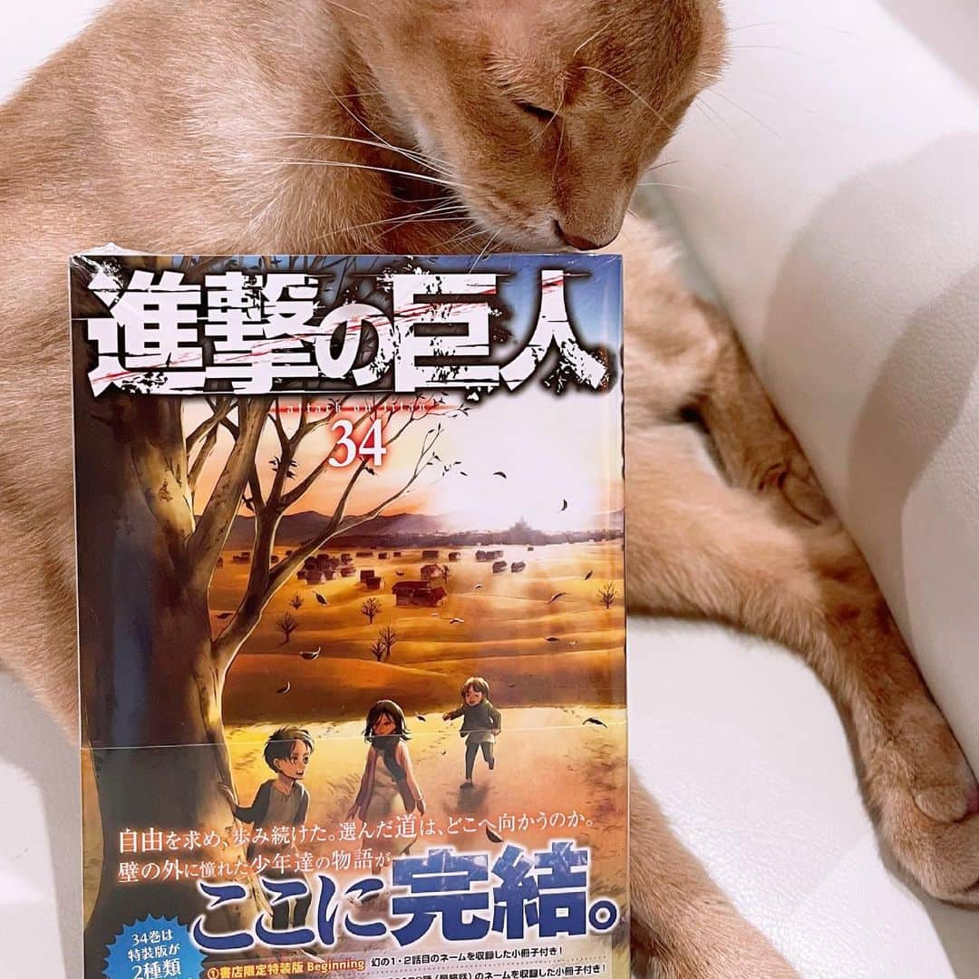 高島礼子さんのインスタグラム写真 - (高島礼子Instagram)「いよいよ完結😭 寂しです  #進撃の巨人 #完結 #寂し #ありがとう」6月11日 1時22分 - reico.official