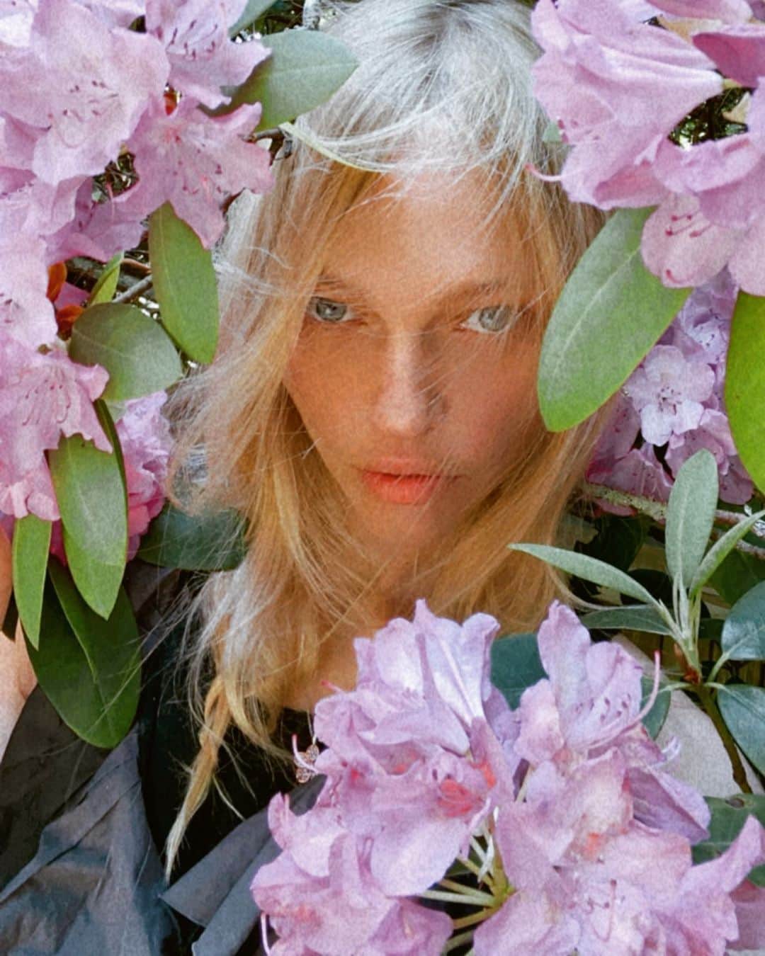 のインスタグラム：「🧚」