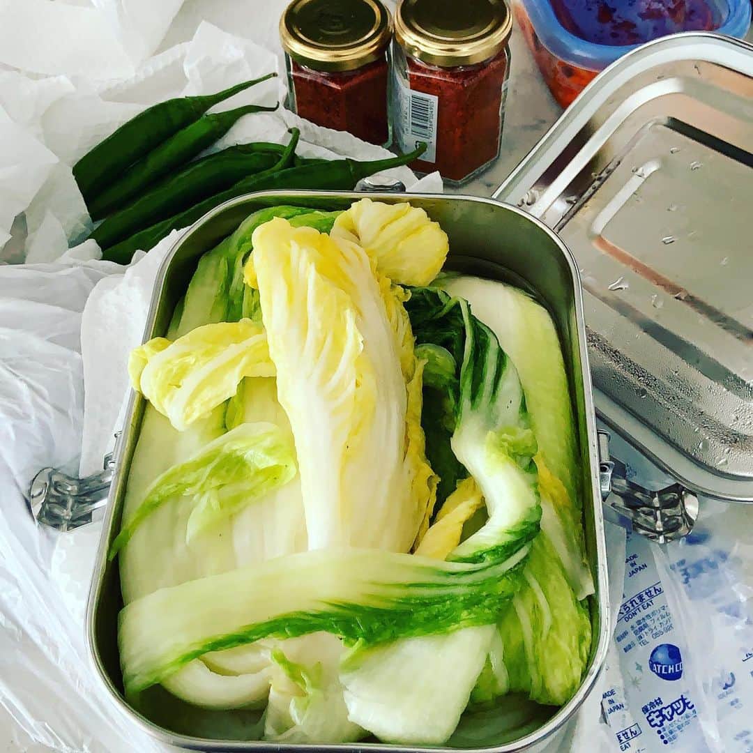 志摩有子さんのインスタグラム写真 - (志摩有子Instagram)「仙姫ちゃんのキムチレッスンがスタート。 塩漬けにしたみずみずしい白菜にアミや唐辛子を混ぜていく。コリンキー入りの水キムチや小松菜のキムチ、ネギのキムチも。  #キムチ作り #韓国料理 #キムチレッスン」6月11日 13時49分 - ariko418