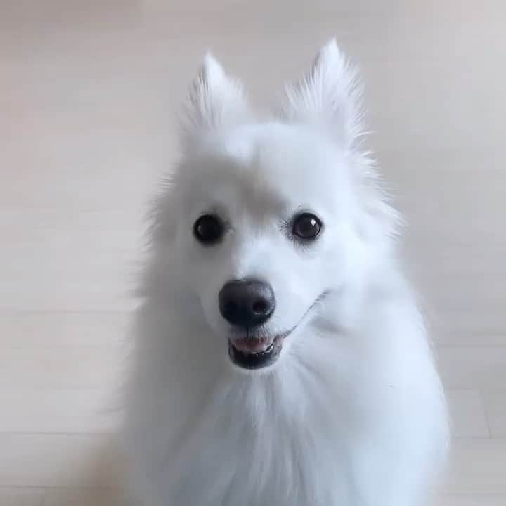 のインスタグラム