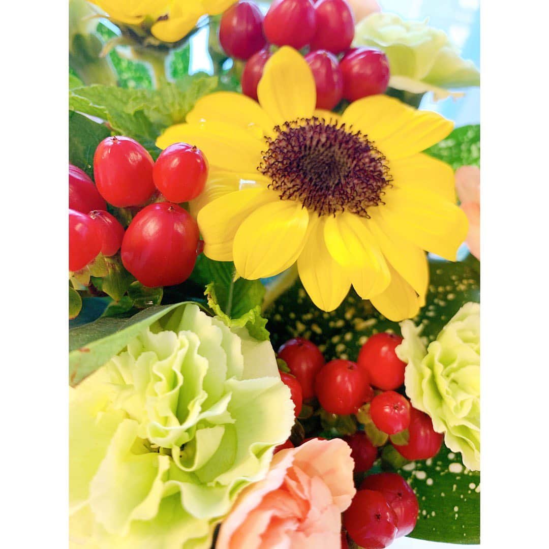 小菅晴香のインスタグラム：「・﻿ 最近は、この子達に元気をもらってます🌻﻿ ﻿ 親友が想いを込めて贈ってくれました🥲✨﻿ 優しさが沁みて、見るたびすごく元気になります‼︎﻿ ﻿ ひまわりのように上を向いていきましょーう👍🏻🧡﻿ ﻿ ﻿ ﻿ #ひまわり #sunflower #晴天祈願 #☀️ #thankyoumybestie」