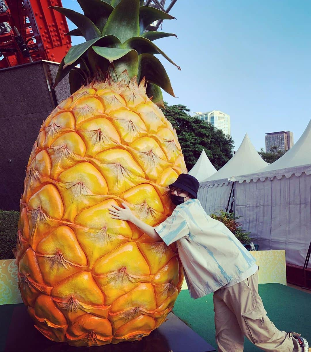 Hiroさんのインスタグラム写真 - (HiroInstagram)「夏が来た。🍍  #巨大パイナップル #切り分けて食べる勇気ない #なんかめんどくさそう #もっとカットしといて欲しい #あとなんでカットパインは全部台形なんだろう #あの形にすゆのめんどくさくないの？ #大丈夫そ？ #こいよ」6月11日 12時21分 - hiro_mfs_official