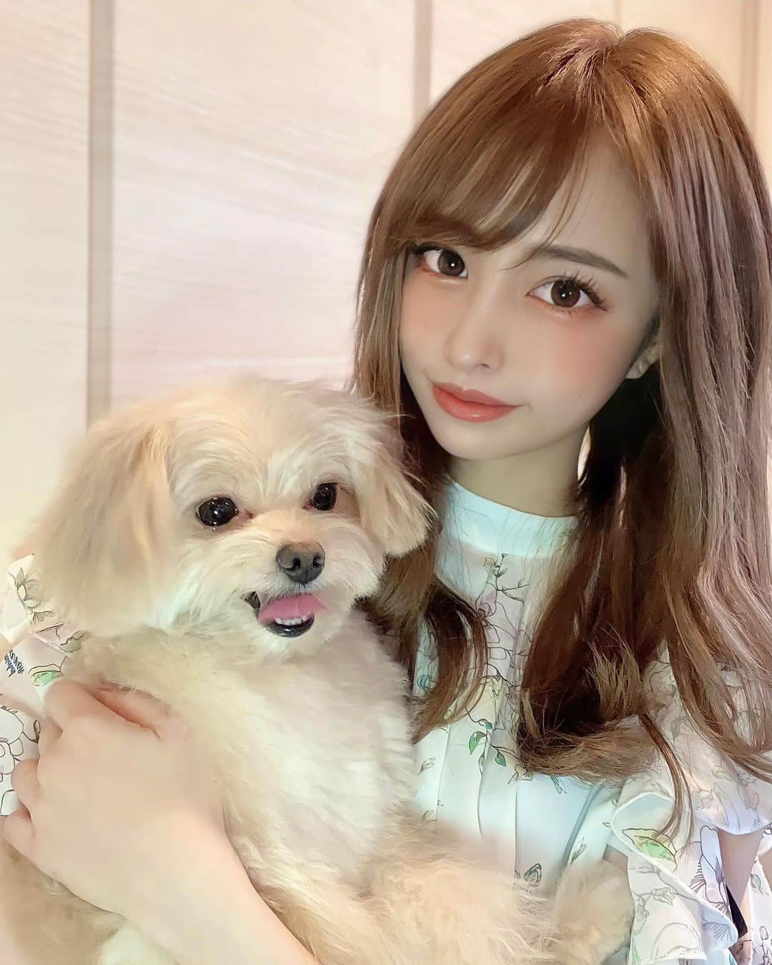 サキ吉さんのインスタグラム写真 - (サキ吉Instagram)「ツナがどんどん大きくなってる🐶 将来の夢はゴールデンレトリバーって言ってた🤣🤣🤣 ． #ポメマルプー #ミックス犬  #綱吉」5月18日 21時47分 - sakikichi1201