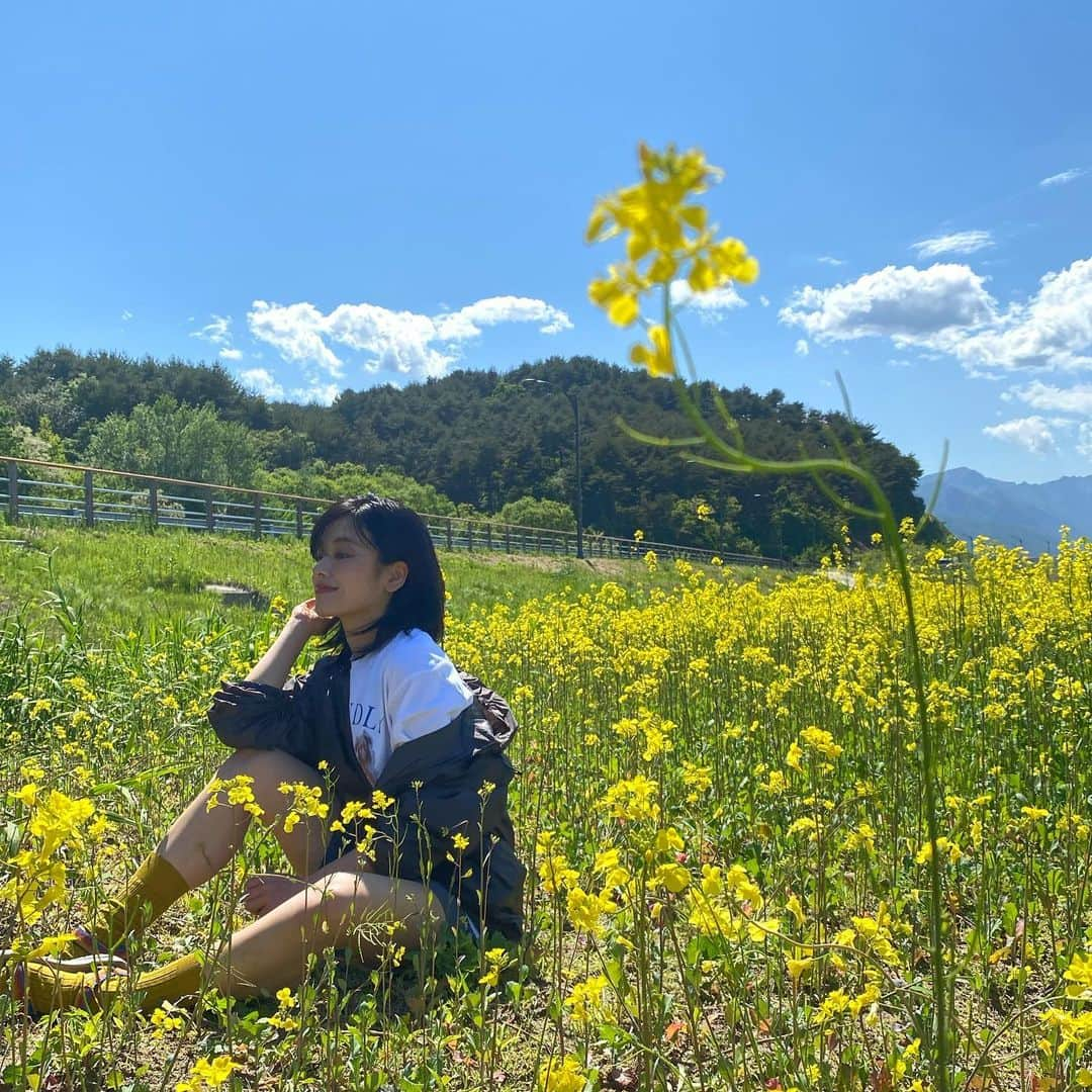 イ・ジュヨンさんのインスタグラム写真 - (イ・ジュヨンInstagram)「🌼🌼🌼💛💛💛」5月18日 22時54分 - i_icaruswalks