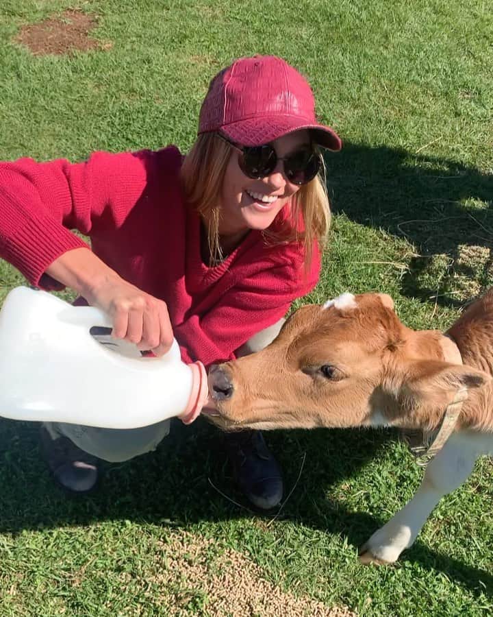 シャーニ・ヴィンソンのインスタグラム：「Bottle feeding baby cows at @malenydairies 🐮🍼」