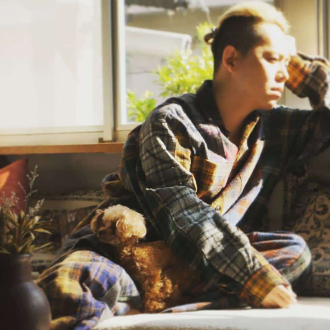 清水翔太のインスタグラム：「新曲「恋唄」本日リリースされてます💖」