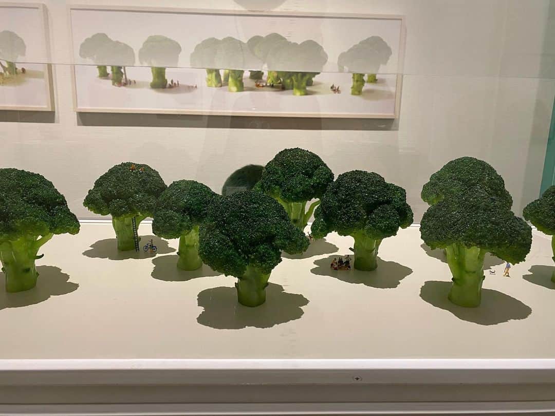 のインスタグラム：「先日、水野美術館に行きました。 長野市を松本カラーに染めたりました。 長野県全部、緑にしてやる。 みんなで長野市の友達を山雅の試合に誘って、長野市も緑に染めようぜ😎💪  って思ってたら、長野市のシンボルマークがすでに緑に染まってた。笑笑  #松本山雅 #長野県 #松本市 #長野市 #緑に染めたい」