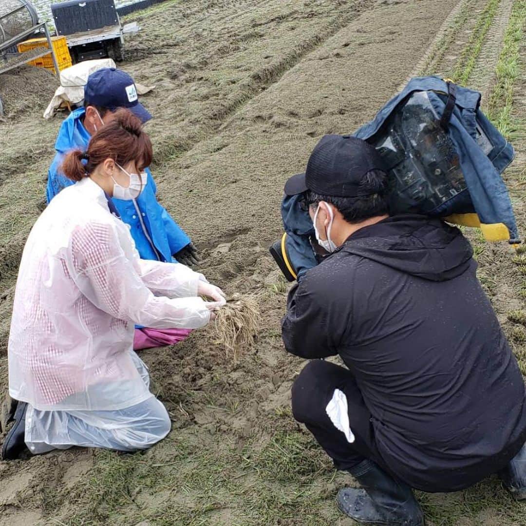 森本晴香のインスタグラム
