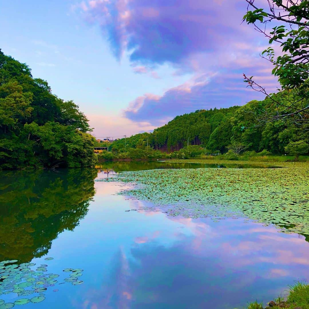 みんなのニュース「上を向いて歩こう」のインスタグラム：「池に写る雲もまた綺麗✨  #いつも同じ道いつも違う空 #一期一会の空 #上を向いて  #一空一瞬 #日の出  #朝空 #朝焼け #朝焼けの空 #空が好きな人と繋がりたい  #雲が好きな人と繋がりたい #朝焼けが好きな人と繋がりたい  #朝日  #朝陽 #空が綺麗  #トワイライト #空のアート #朝の空 #朝活 #twilight #skyart  #fantasysky」