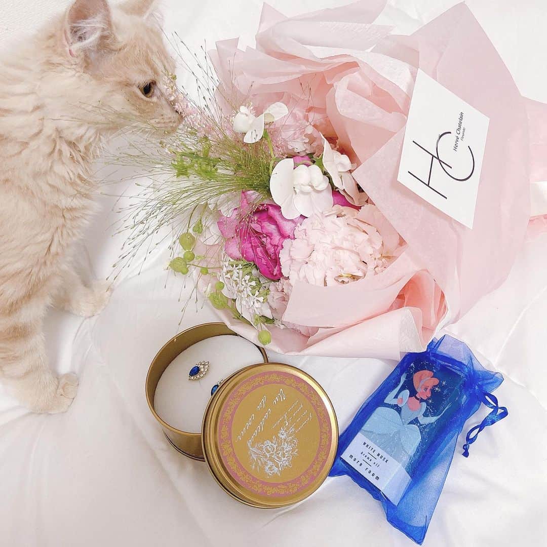 sarimaru(国木田さりまる)のインスタグラム：「5/19で24歳になりました💭 毎年お誕生日はほぼ雨で今年も雨降ったけど、良い1日でした💐 知り合って日浅いのに仲良くなるべくして出会ったみたいな出会いが最近多くて幸せ者です…！ 今年は新しいことが次々にスタートするから気を引き締めて頑張ります。 プレゼントとっても嬉しかったなあ💙 ストーリーのメンションとDM、メッセージ諸々目通してます！ 皆様温かいお気持ちありがとうございました☺️ とっても幸せです！！」