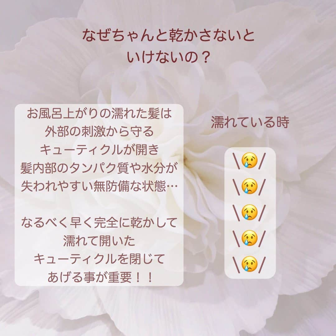 月森世菜さんのインスタグラム写真 - (月森世菜Instagram)「よく髪の毛について褒めて頂き ケアの質問をたくさん頂くので まとめてみました♡  髪は絶対すぐに乾かそう🙆‍♀️  よくサラサラの髪の秘訣を 友達に聞かれるのですが ちゃんとしっかり乾かすこと！！ 紫外線のダメージを受けない事！ これに尽きます😌💕  私は結構面倒くさがりで メイクを落とさずに 寝ちゃった事はあっても 髪だけは大事にしていて 1日も乾かさずに寝た事はない☺  質問はDMでなく最新の投稿の コメントにお願いします🤍 DMお返しできません🥺  ┈┈┈┈┈┈┈┈┈┈┈┈┈┈┈┈┈┈┈ せいなです♡ 白系統の女子力アップのことに ついて毎日投稿しているので フォローして頂けると嬉しいです🍑  @seina.tsukimori   白系統のお写真を募集中✉️🕊 タグ付けしてね💭🩰  ファンネーム・マーク決まりました♡ → 🤍🕊 せいらー ┈┈┈┈┈┈┈┈┈┈┈┈┈┈┈┈┈┈┈  #ヘアケア用品 #ヘアケア方法	#サラサラヘアー #サラサラ #サラサラ髪 #サラサラヘア #サラサラストレート #サラツヤ #サラツヤ髪 #サラツヤロング #ツヤツヤ #ツヤツヤヘアー #ロングヘア #ローズヘアー #枝毛 #切れ毛 #ヘアケア #前髪カット﻿ #セルフ前髪カット﻿ #美髪 #美髪ケア #美髪トリートメント#前髪簡単アレンジ講座﻿ #前髪アレンジ﻿ #前髪アレンジ動画﻿ #セルフアレンジ動画﻿ #セルフアレンジ﻿ #簡単アレンジ﻿ #女子力」5月20日 19時43分 - seina.tsukimori