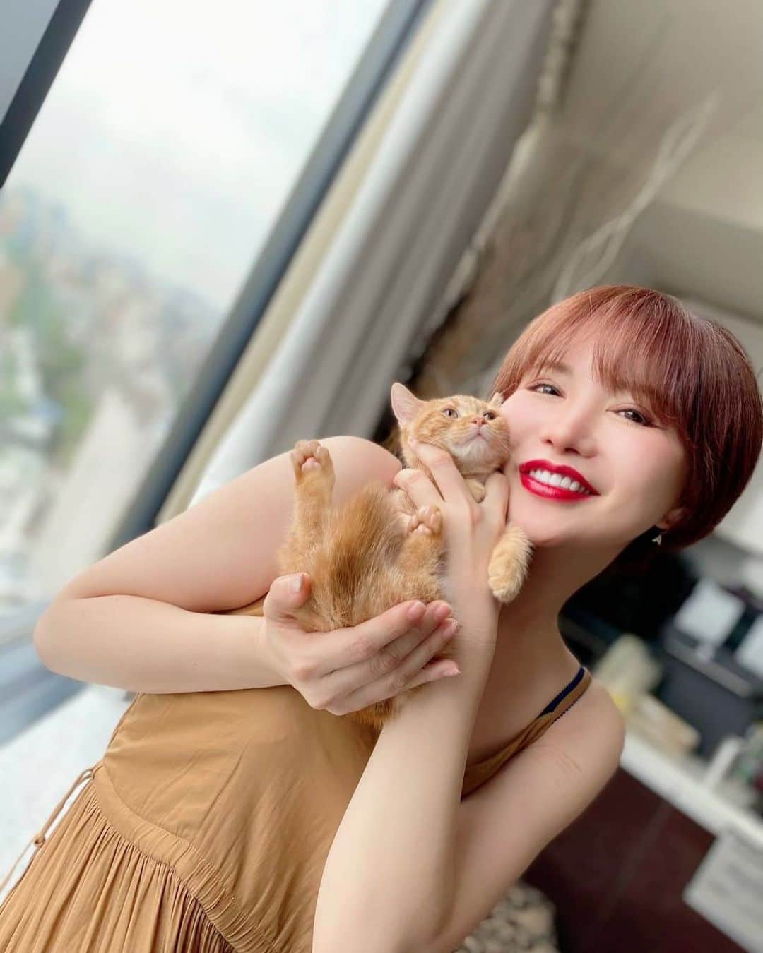 里美ゆりあのインスタグラム：「梅雨だにゃー♡♡  #梅雨 #マンチカン #短足 #猫」