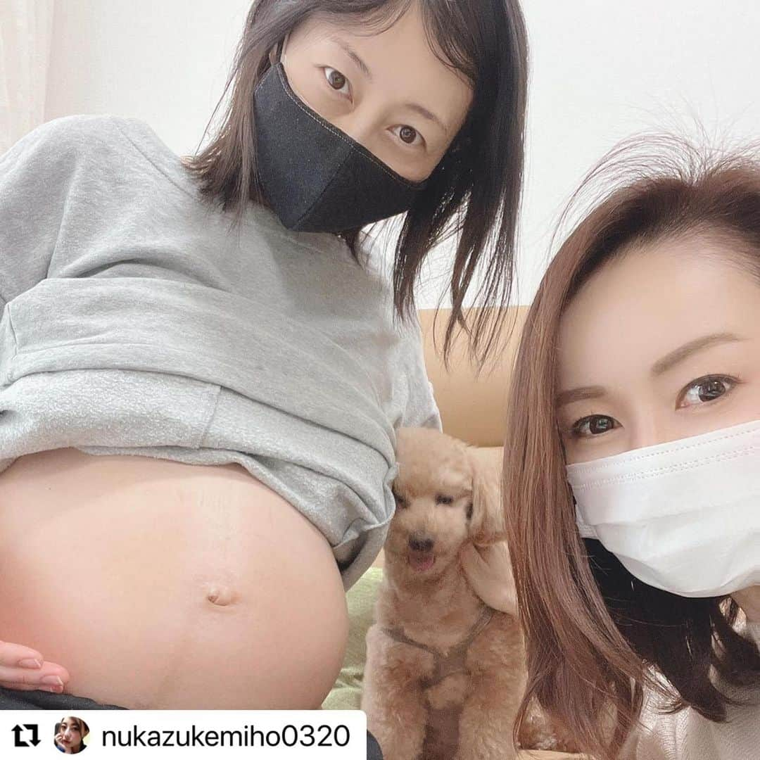 宮崎宣子さんのインスタグラム写真 - (宮崎宣子Instagram)「みほがもうすぐママだよー💕💕  #Repost @nukazukemiho0320 with @make_repost ・・・ ……… ✨ぽんぽこりーーーーん👶🌷✨✨✨✨✨✨✨✨✨✨ 『え💓…みほがお母さんだなんて』 ・ 里帰りの直前😌ほんの、一瞬だけでも会いたい💓と言って🚗仲良しの✨宮崎宣子アナ✨のぶこりん🌱　@miyazaki_nobuko  がアロハ🐶と一緒にきてくれたよ〜✨久しぶりに会えた❣️  しかも👶🌷ぽんぽこりん✨だったから、とっても驚いてくれたし一緒に喜んでくれて、本当ありがとう💓✨ ・ 結婚・妊娠🤰💐のお祝い✨に… ✨EMARA✨　 🧴body soap🧼✨✨ @emaraorganic   贈っていただきましたぁ🌷✨✨👶嬉しいね💓  ✨こちらは、ハーバリスト🌱のぶこりん✨がproduceしてる🌿organic  soap🌿で、優しく肌を洗いあげるので、赤ちゃん👶💓にも使えるんですよ🤲✨  産まれてくる子が✨きっと喜ぶね🌷やはり、こんな時期という事もあるので、尚更、baby👶には優しい素材✨や安心安全なもの✨を伝えたいなぁ✨🌱お腹も、もう、ぽんぽこりんピーク💓🙌はやく、お外に出たいのかなあ…✨✨👶💓不安もあるけど💦ドキドキわくわくです！！ ・ #organic #healthy #safety #natural #bodysoap #herb #wellcome  #baby #emara #soap #myfriend @miyazaki_nobuko  #thankyou #🐶　#maternity #maternitylife」5月20日 15時41分 - miyazaki_nobuko