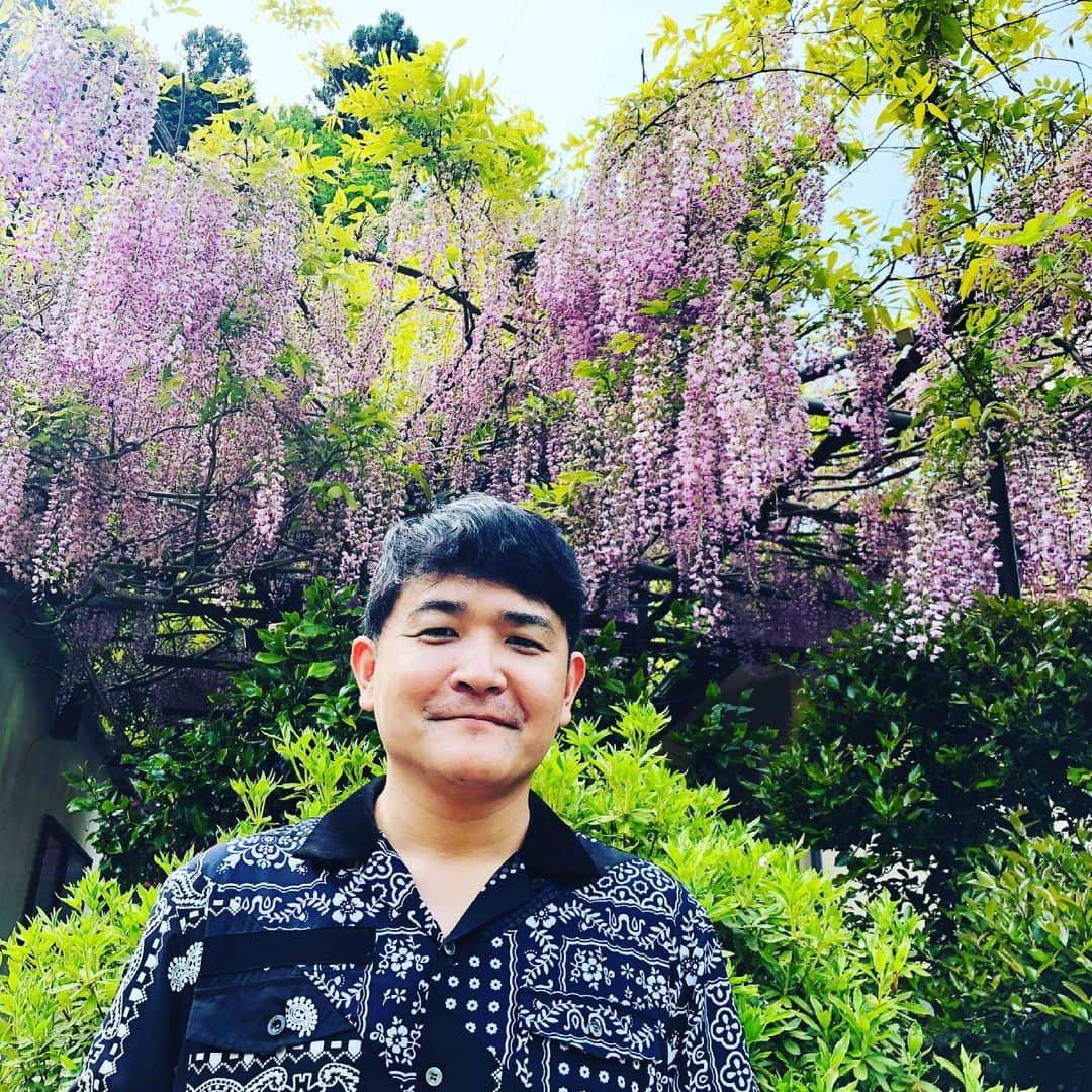 ノブ のインスタグラム：「瀧さんより瀧だ。 #藤の花 #産屋敷 #最終選別ゼロ勝男」