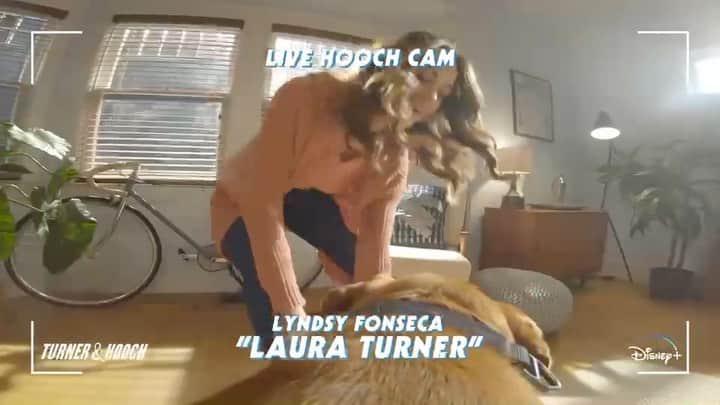 リンジー・フォンセカのインスタグラム：「#bts at #turnerandhooch Get ready for some slobber and fun! @carrapatterson @anthony.ruivivar @shuapeck @littlelengies @superjmaguire @brandonjaymclaren @becca @paulcampbellofficial @rosato @disneyplus JULY 16th!!!! Only on Disney +」