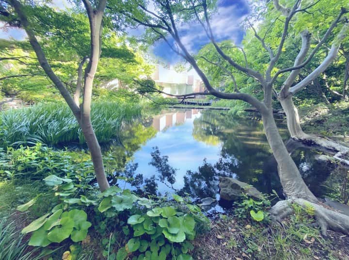 角田美喜のインスタグラム：「梅雨空長いので☔️青空に雲を🌤写真ですが絵のようになりました😊」