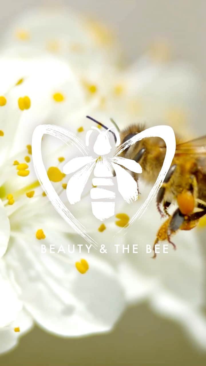 ナタリア・ヴォディアノヴァのインスタグラム：「Proud of the commitment of my @guerlain family with the #GuerlainForBees conservation program and their initiative to raise up to €1 million on World Bee Day, to protect them and their habitat 🐝❤️🌸  You can join and support them by sharing the Guerlain #WorldBeeDay post in your stories/feed and using the hashtag 🥰🥰  For every post shared, Guerlain will donate €20 to the program 🙏🏼🙏🏼 Go to my stories and join their dedication for sustainability」