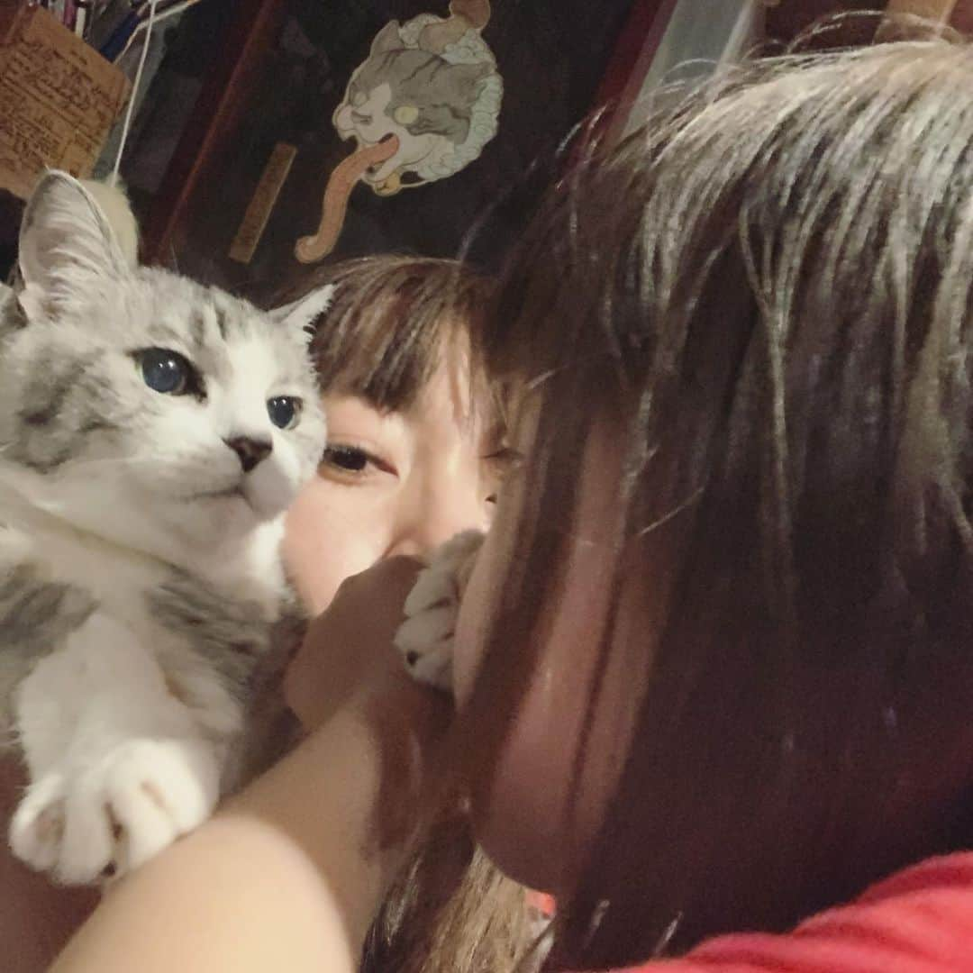 坂本美雨さんのインスタグラム写真 - (坂本美雨Instagram)「いもーとにニクキュウを嗅がれているときの、《無》。 #サバ美となまこちゃん #サバ美 #ヒザが混んでる」5月21日 1時25分 - miu_sakamoto