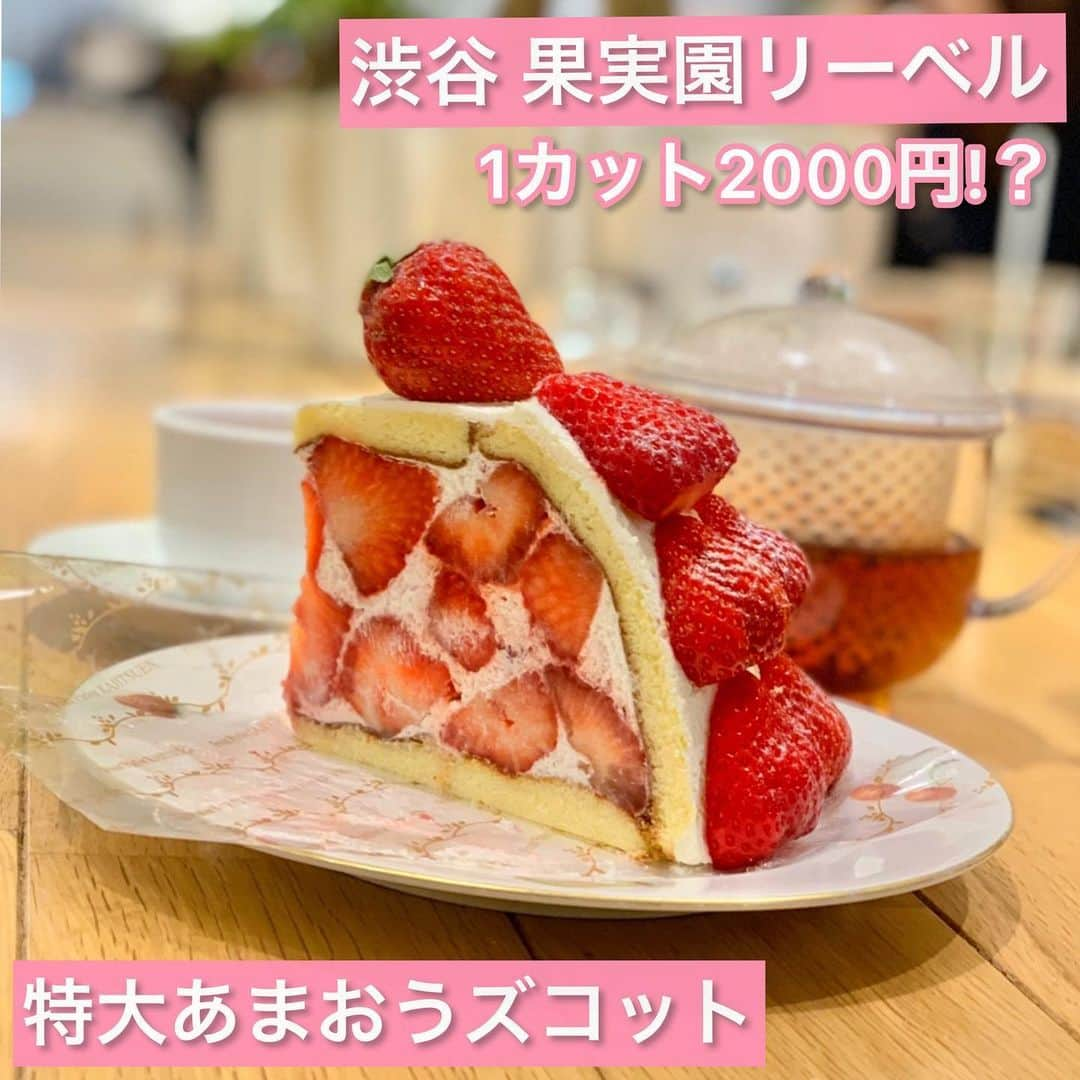 吉川ちえさんのインスタグラム写真 - (吉川ちえInstagram)「【🍓🍓🍓🍓🍓】 . かなり時差投稿⏰なのですが 渋谷ヒカリエの中にある ✅果実園リーベル に行った時よ🤟 . あまおうズコットは1カット 2000円💰もしたので奮発した🤣👍w (果実園リーベルに行ったのは4月の脂肪吸引前だったので自分へのこれ食べて頑張ってこい💪って意味で奮発しました🙆‍♀️w) . いちごはとっても甘いのに スポンジと生クリームは程よい甘さ で甘すぎずに食べやすかった🙉💕 美味しかった~🙋‍♀️🧡💚 . ヒカリエのリーベルは待ち時間20分くらいかかりました＼(^ω^)／ . #果実園リーベル #果実園リーベル渋谷ヒカリエ店  #あまおうズコット」5月21日 9時39分 - yoshikawachie_16