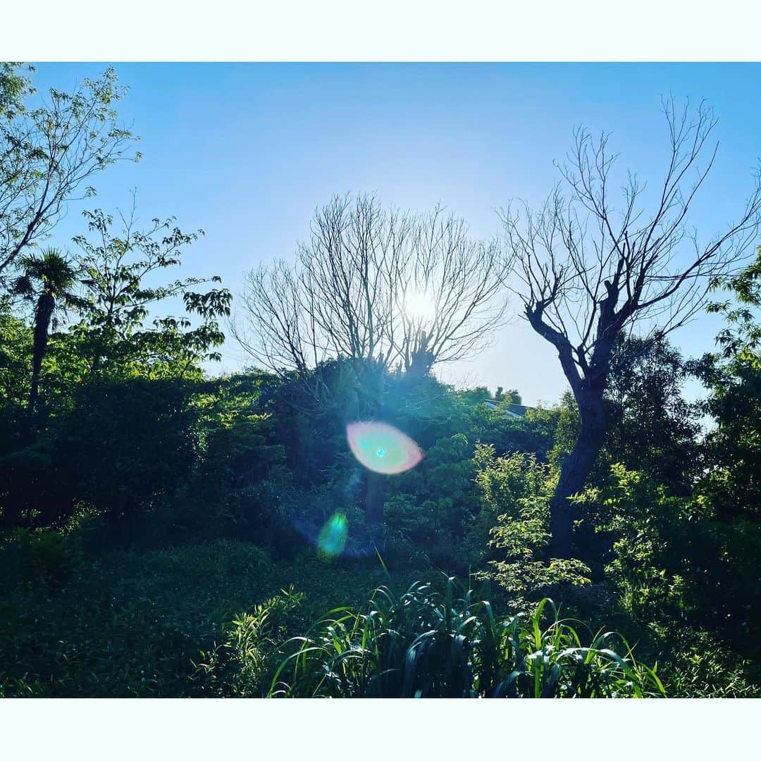 池内博之さんのインスタグラム写真 - (池内博之Instagram)「気持ちいい場所だなー」5月21日 10時19分 - hiroyuki.ikeuchi