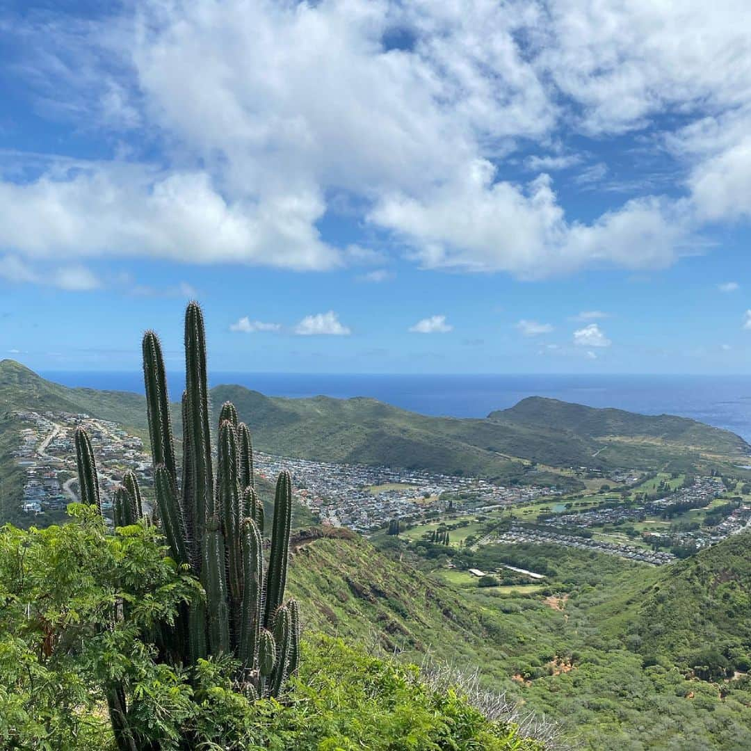 薬丸玲美さんのインスタグラム写真 - (薬丸玲美Instagram)「𝓚𝓸𝓴𝓸 𝓗𝓮𝓪𝓭  I hiked the Koko Crater Trail last week⛰  ハイキングキャラじゃないのに ココヘッドに先週登ってきました🤣 まぁー大変。でも頂上が綺麗すぎてまた行きたい！ってなりました🌈  @kumi_iekura ちゃん連れて行ってくれてありがとう♡  #薬丸玲美 #kokohead #kokocrater #hiking #hawaii #honolulu」5月21日 11時26分 - remi_yakumaru