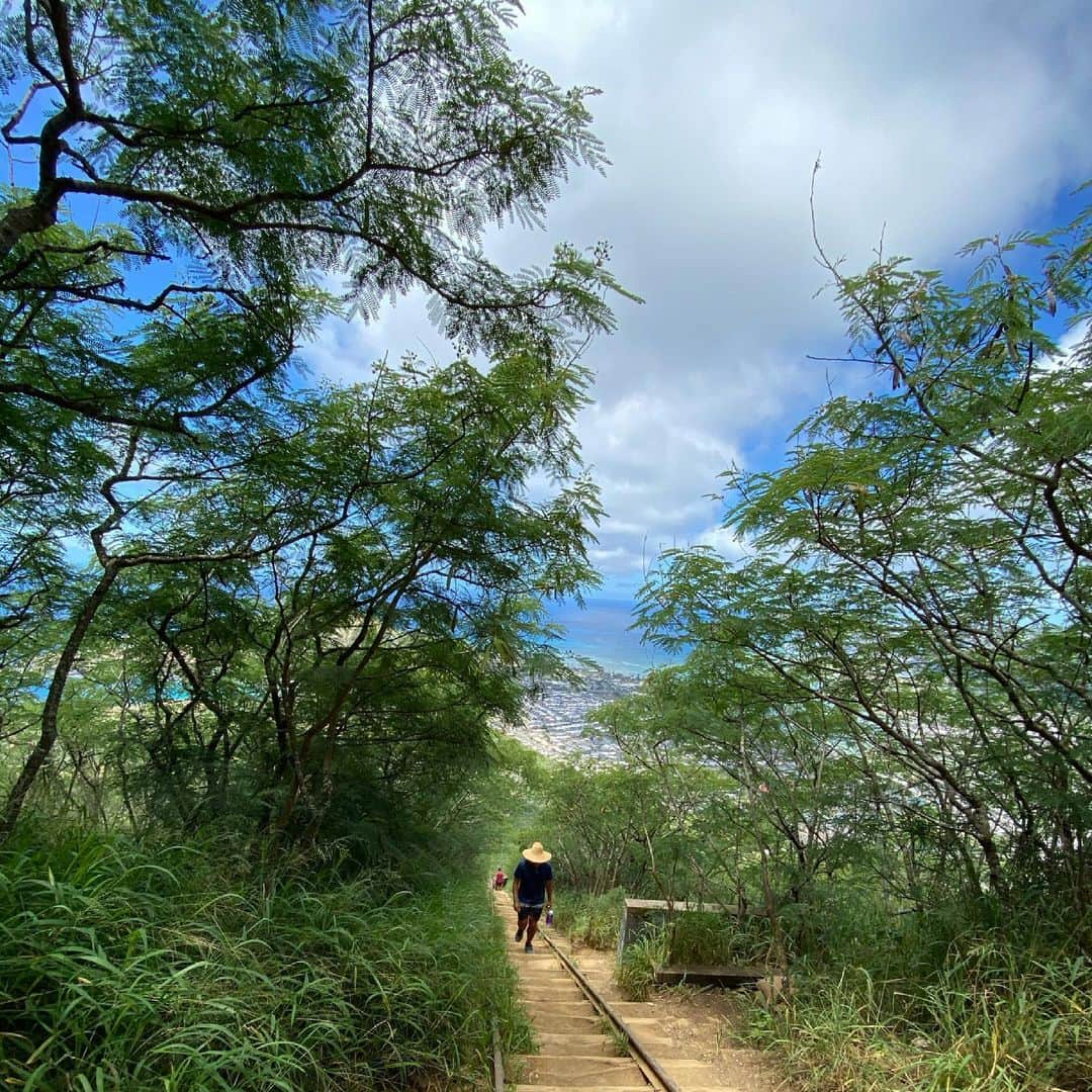 薬丸玲美さんのインスタグラム写真 - (薬丸玲美Instagram)「𝓚𝓸𝓴𝓸 𝓗𝓮𝓪𝓭  I hiked the Koko Crater Trail last week⛰  ハイキングキャラじゃないのに ココヘッドに先週登ってきました🤣 まぁー大変。でも頂上が綺麗すぎてまた行きたい！ってなりました🌈  @kumi_iekura ちゃん連れて行ってくれてありがとう♡  #薬丸玲美 #kokohead #kokocrater #hiking #hawaii #honolulu」5月21日 11時26分 - remi_yakumaru