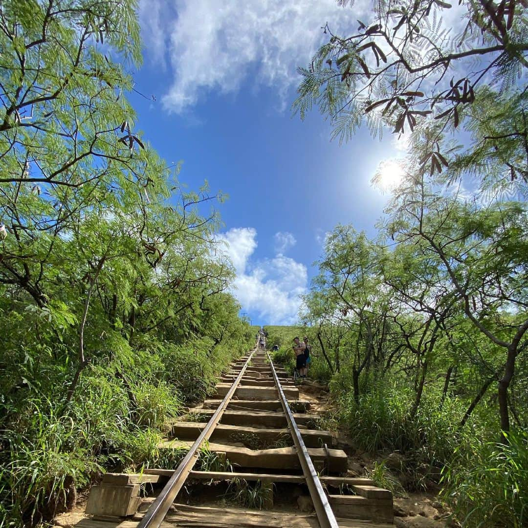 薬丸玲美さんのインスタグラム写真 - (薬丸玲美Instagram)「𝓚𝓸𝓴𝓸 𝓗𝓮𝓪𝓭  I hiked the Koko Crater Trail last week⛰  ハイキングキャラじゃないのに ココヘッドに先週登ってきました🤣 まぁー大変。でも頂上が綺麗すぎてまた行きたい！ってなりました🌈  @kumi_iekura ちゃん連れて行ってくれてありがとう♡  #薬丸玲美 #kokohead #kokocrater #hiking #hawaii #honolulu」5月21日 11時26分 - remi_yakumaru