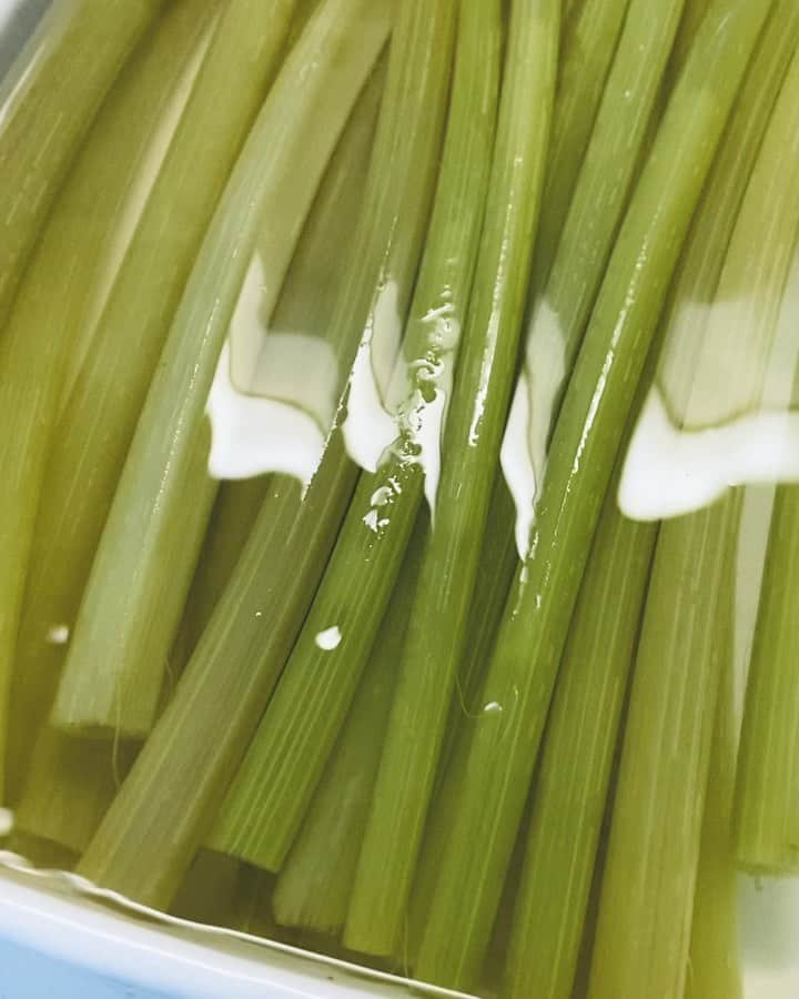 松本孝美のインスタグラム