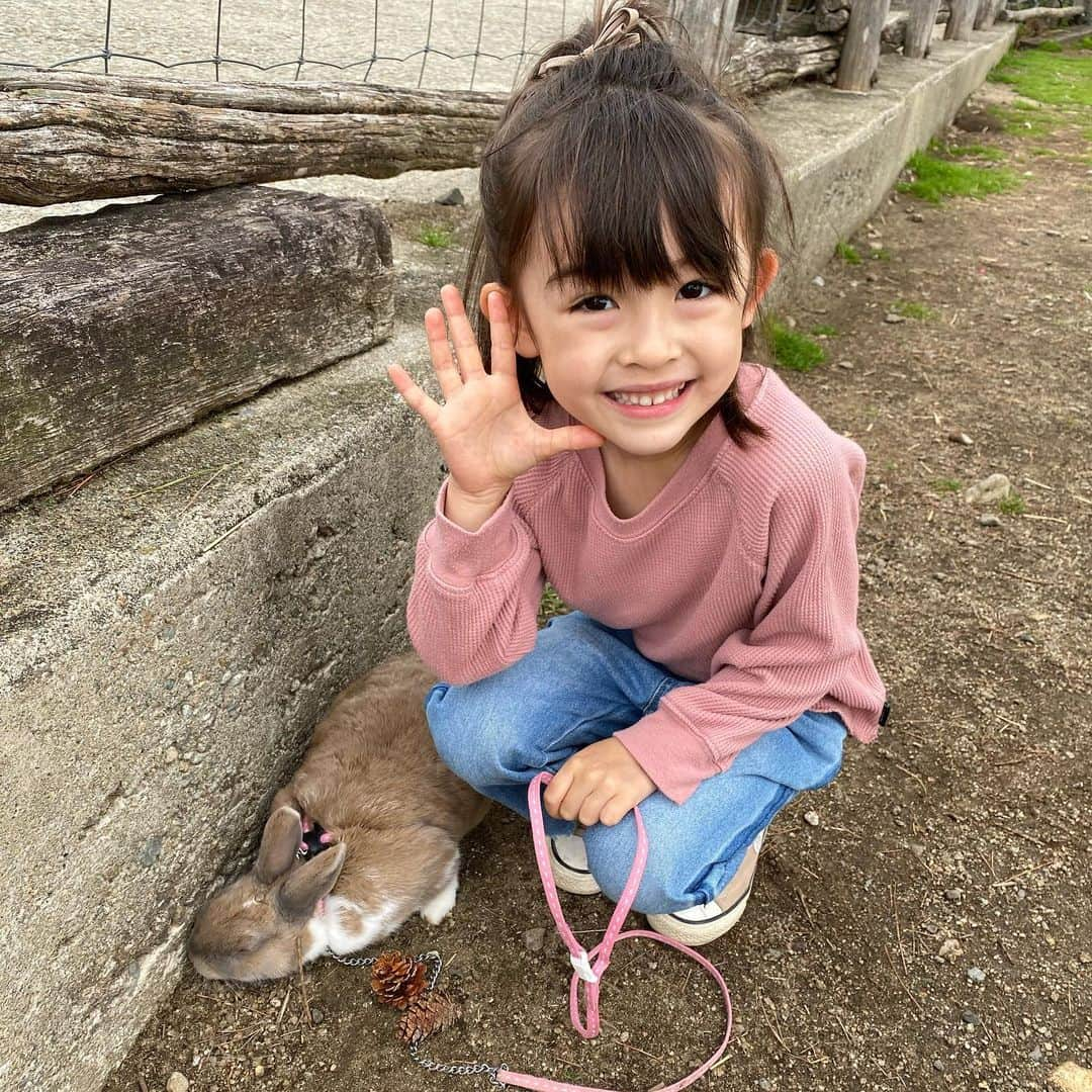 アレン明亜莉クレアさんのインスタグラム写真 - (アレン明亜莉クレアInstagram)「🐰 結構前の撮り溜め写真です ・ うさんぽ（うさぎのさんぽ） をしてから馬とロバに乗りました🎀 ・ 馬はママと乗りました〜 ロバは1人で乗る事ができたので楽しかったようです！ ・ ウィリーは乗れなくて不満顔🙏 メアリーが乗っている間は大暴れしてました💦 ・ ・ ・ 早く自由に遊びに行きたいな〜 ・ ・ ・   #girlsmodel #5歳 #kidsmodel #子どものいる暮らし #女の子コーデ  #インスタキッズ #ig_baby #ig_kids #子役  #ハーフキッズ #ママノワ #mixedkids #女の子モデル #ファッションモデル #ハーフ子役 #mamanokoカメラ部 #instagram_kids #insta_kids #ベビフル #コズレ  #ママリ #キッズフォト  #メアリーちゃん #アレン明亜莉クレア」5月21日 13時08分 - mary.2015c