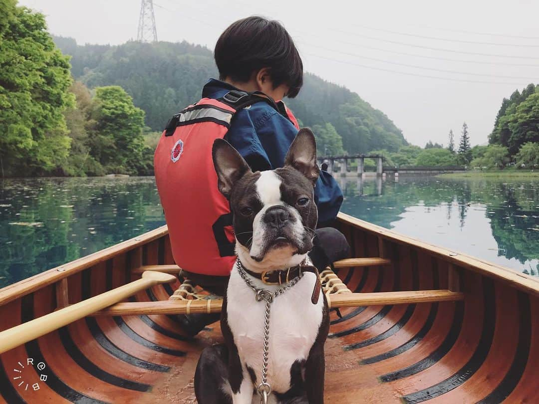 rabbiiiiiさんのインスタグラム写真 - (rabbiiiiiInstagram)「* 明日午前中曇りってことは🛶 * * #igersjp #navarrocanoe #bostonterrier  #Gunmagram #🛶 * * Location: Gunma Japan 🇯🇵」5月21日 23時43分 - rabbiiiii