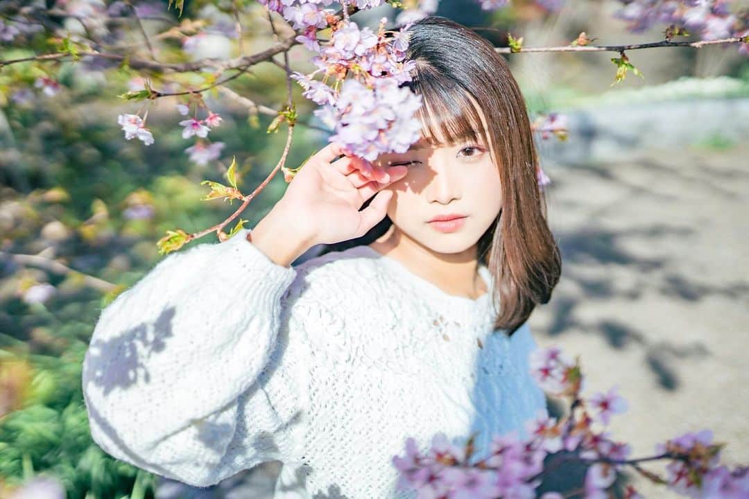 山本ゆうかのインスタグラム：「まだ桜の写真を載せるマンです。」