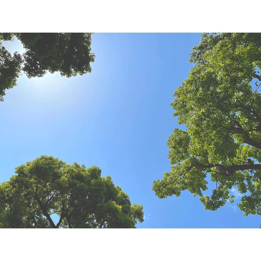 竹本萌瑛子のインスタグラム：「アカウントくらい晴れさせとこっと . 5/1公園でゴロリのパシャリしたときの空 低気圧ツラメンは頑張って乗り切ろうぜ梅雨」