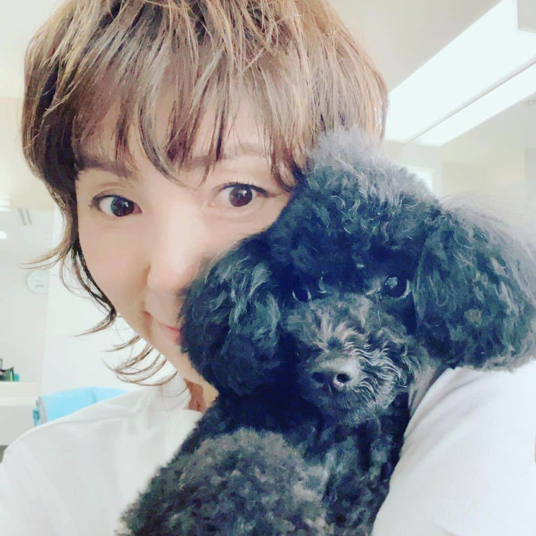 渡辺満里奈さんのインスタグラム写真 - (渡辺満里奈Instagram)「🐩  今日の収録はルルと🖤  ★ #現場にワンコはなんか疲れるー #お出かけ慣れしてない子 #みなさまお世話になりました #でもワンコがいるとなんか和む」5月21日 20時23分 - funnyfacefunny