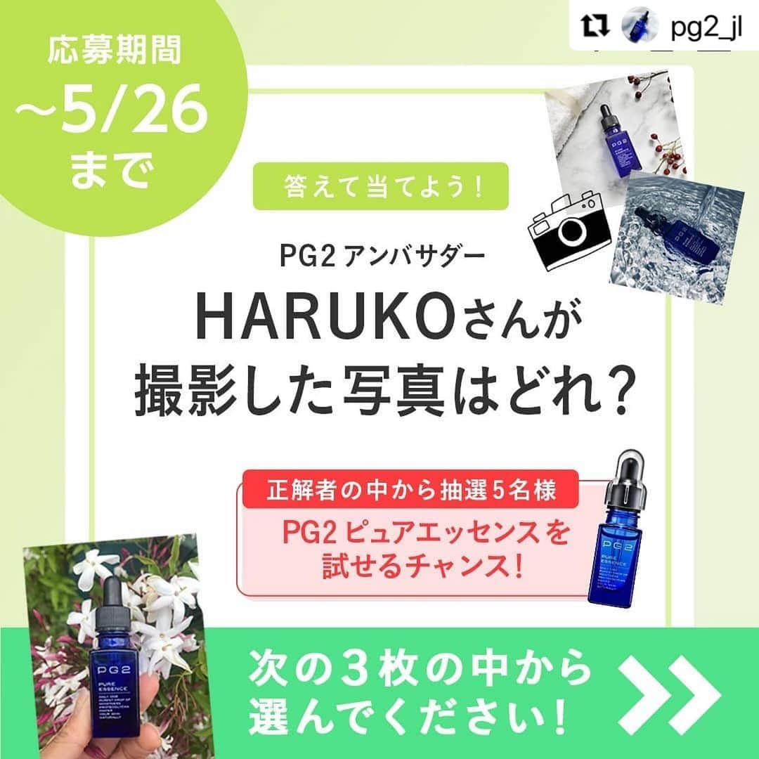 HARUKO（真木明子）さんのインスタグラム写真 - (HARUKO（真木明子）Instagram)「さて❤️どれでしょう？😊. . プレゼント企画に挑戦してみてね！. ほんとに素晴らしいブースターよ❤️ #Repost @pg2_jl with @make_repost ・・・ 🌈答えて当てよう🌈 正解者の中から抽選で5名様にプレゼント🎉  プロテオグリカン原液が配合された美容液 PG2ピュアエッセンス！ 「気になっていたけど…」という方も 「何それ？知らない！」という方も 高い保水力を誇るプロテオグリカンの威力を試すチャンス🎵  クイズに正解した方の中から抽選で5名様に PG2ピュアエッセンスをプレゼント🎉  応募方法は簡単❗️ クイズに回答するだけ❗️   🔶応募方法 投稿写真の2枚目、3枚目、4枚目の中に、 1枚だけPG2アンバサダー HARUKOさんが ( @haruko227 )撮影したお写真が含まれています！その写真を当てるだけ！！  こちらの投稿のコメントに 「コレだ！」と思う数字を残してくださいね。（左上の数字です！) コメントに回答を残すだけなので、 お気軽にご参加ください🌼  🔶応募期間は、5月26日（水）まで🔶  🔶当選発表 正解者の中から、抽選で5名様に プロテオグリカン原液配合の美容液「PG2ピュアエッセンス」をプレゼントいたします。 当選者の発表は、当アカウントからDMでご連絡、発送をもってかえさせていただきます。  皆様からのご応募お待ちしております😊  #pg2ピュアエッセンス #pg2 #ピュアエッセンス  #プロテオグリカン #原液美容液 #美容液 #プレゼント #抽選 #応募 #当たる #潤い #保湿ケア #美肌 #スキンケア #素肌ケア #pg2と始める私の美容液習慣」5月21日 22時51分 - haruko227