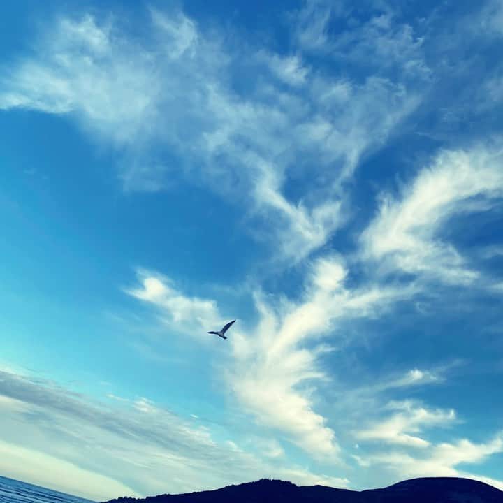 ミシェル・ロドリゲスのインスタグラム：「Ireland is some kind of poetry, with its moody skies, 50 shades of green🍀☘️🌱💚 , full spectrum rainbows🌈 my heart’s loving this land🤗🌬」