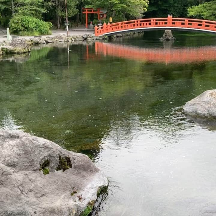 牧野克彦のインスタグラム：「日本有数のパワースポット、富士山の麓　富士山本宮浅間大社　湧玉池。」