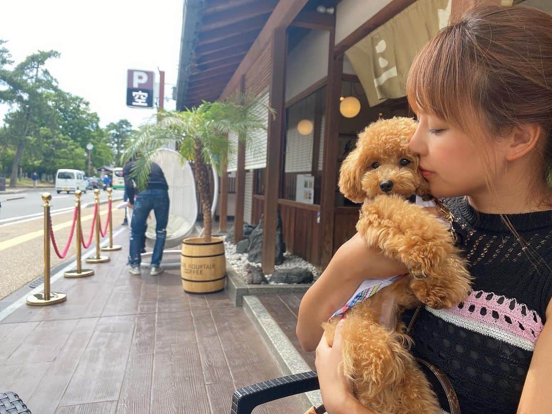 原田怜奈のインスタグラム：「最近のオフ マロンとお散歩⛩ 長い時間歩いたり 何にも考えない時間 大事にしていきたい☺️💕 今年はプロテスト 受けますので、 応援宜しくお願いします☺️ 日々の積み重ねなので 一から頑張ります☺️ . . . . . . #off #女子ゴルフ　#ゴルフ　#golf」