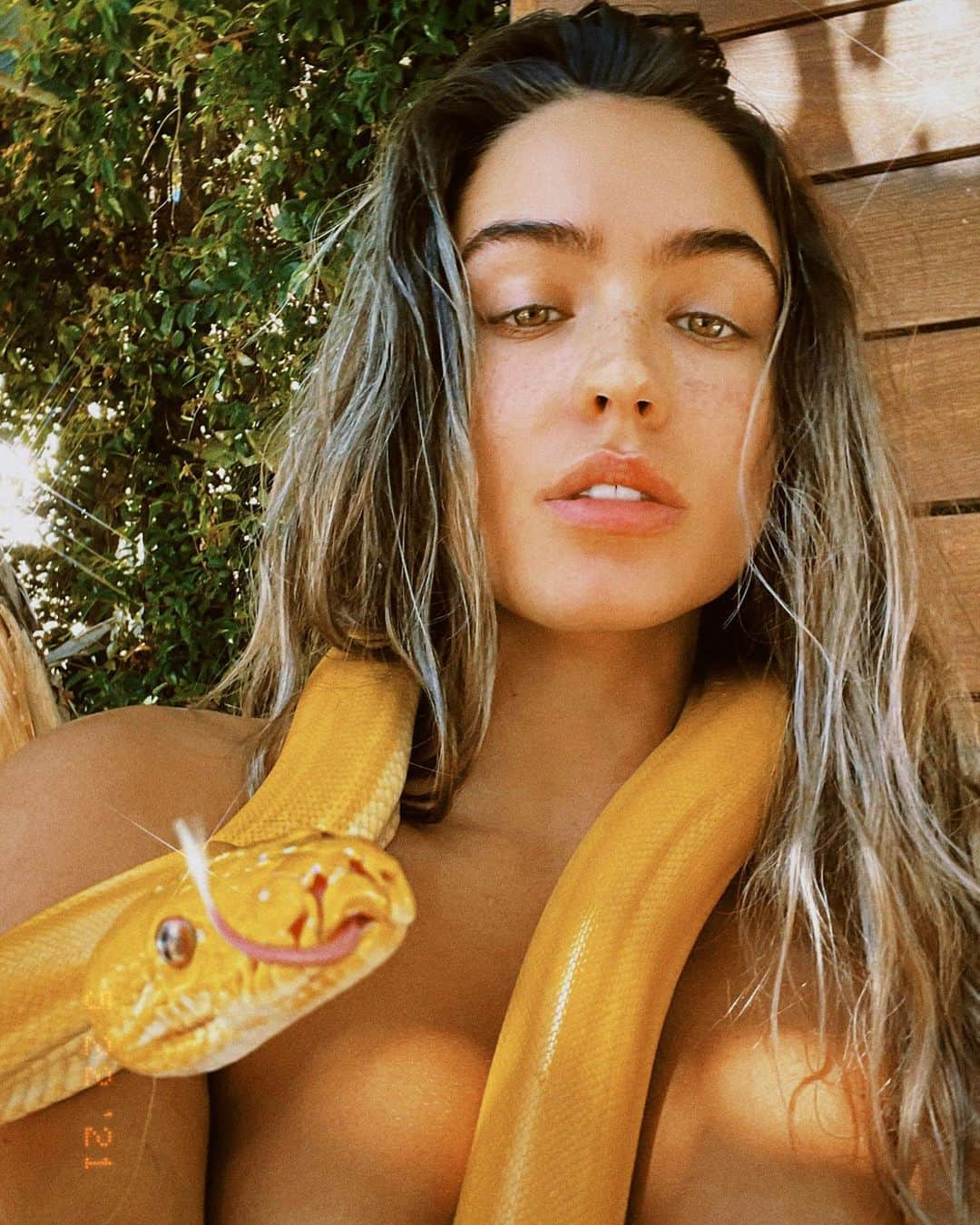 Sommer Rayさんのインスタグラム写真 - (Sommer RayInstagram)「i’m not sure why snakes have such a bad rep cause honestly i love them sooo much ( 2 b fair i love all animals soooo much ) i have 6 baby snakies & they are my besties 🥺✨」5月23日 3時35分 - sommerray