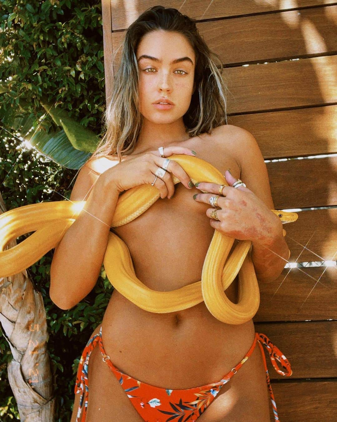 Sommer Rayさんのインスタグラム写真 - (Sommer RayInstagram)「i’m not sure why snakes have such a bad rep cause honestly i love them sooo much ( 2 b fair i love all animals soooo much ) i have 6 baby snakies & they are my besties 🥺✨」5月23日 3時35分 - sommerray