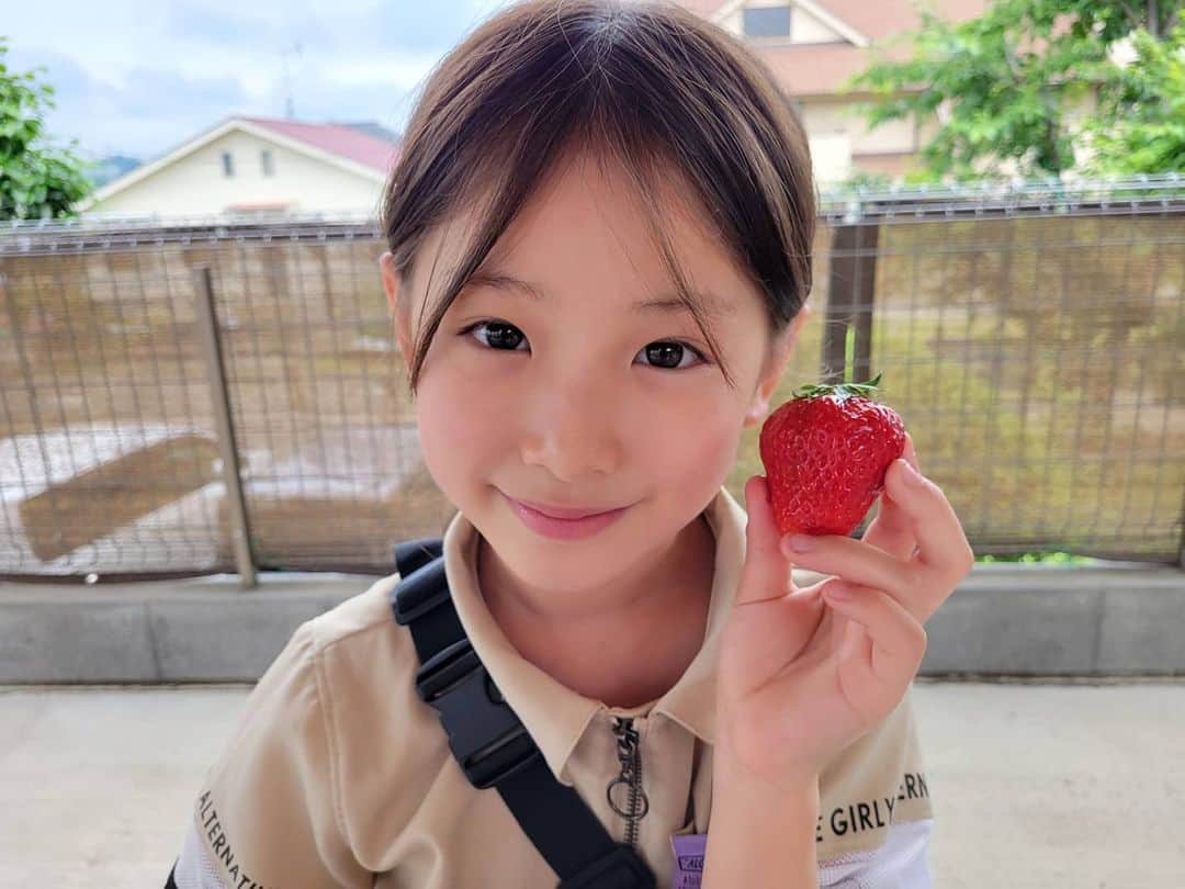 ひなのインスタグラム：「♡𓂃 𓈒𓏸◌‬ フルーツ大好きなひなが今1番したいのは フルーツ狩り🍓 イチゴ、ブルーベリー、ぶどう、桃、 色んなフルーツ狩り行きたいね♡  . GALAXYのS21に変えたんだけど すごくいい📱💭💕 ノーマルカメラでこんなに綺麗に撮れるし 動画も綺麗で 特に赤と青の色がすごく鮮明で初めて見た時感動✧* たくさん写真撮りたいから 早く色んなところにお出かけできるように なりますように🌙.*·̩͙」