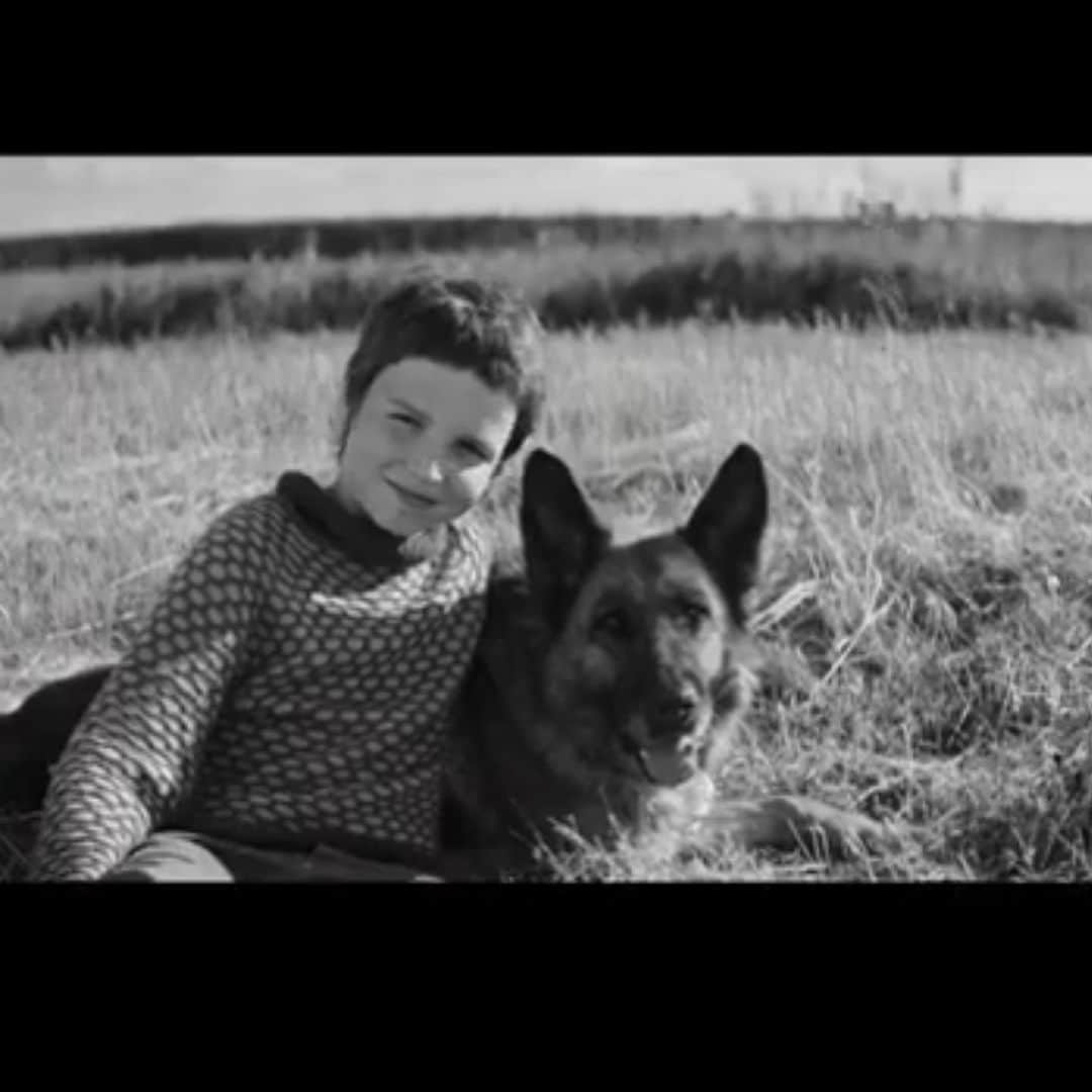渡辺裕之さんのインスタグラム写真 - (渡辺裕之Instagram)「いよいよ 5月28日公開 クリネックスティッシュは 多めのご用意を おすすめ致します。 #hachi.palma #ハチとパルマの物語  #オレンブルグ国際映画祭  #忠犬ハチ公  #モスクワ国際映画祭  #日本クレシア  #クリネックス #zeppin  @hachi.palma  https://akita-movie.com/」5月23日 1時38分 - hiroyuki6267