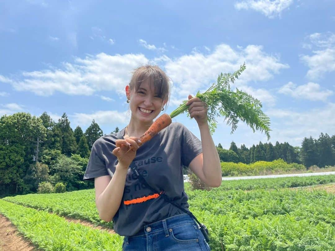 トラウデン直美さんのインスタグラム写真 - (トラウデン直美Instagram)「これは先週の写真🥕 にんじん畑がわっさわっさしてて、今日見に行ったら「もうすぐとり時かなぁ」って言ってました！😳  にんじんは自分で植えてないんだけど、6〜7月になったら自分で植えたパプリカとかズッキーニ、とうもろこしなどなど採れるようになるの🌱 やっぱり1からやらせてもらうと愛着が違うなぁ。あぁ早く自分で育てた美味しいお野菜食べたいっ🐯  #畑　#農業  #トラと野菜」5月23日 16時37分 - naomi_trauden_